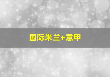国际米兰 意甲